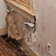 Mold Removal & Clean-up