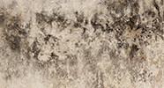 Removal and Mold Prevention